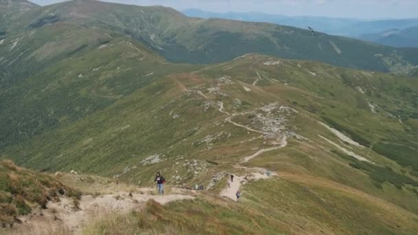 Grupa turystów z plecakami turystycznymi schodzi w dół pasma górskiego. Powrót Widok — Wideo stockowe