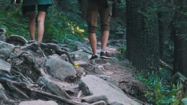 Μερικοί τουρίστες με σακίδια αναρρίχηση στο πέτρινο μονοπάτι στο ορεινό δάσος — Αρχείο Βίντεο