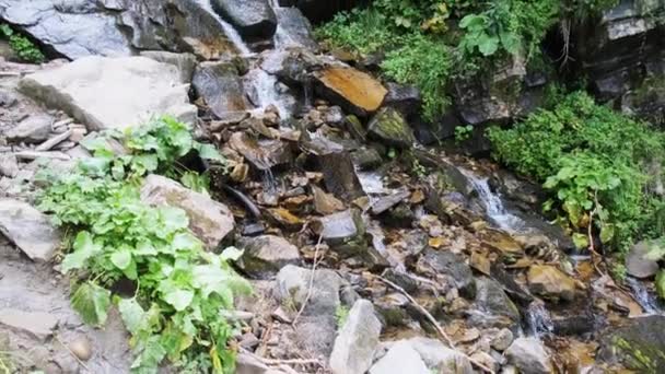 Cascada de montaña salvaje. Caída rápida de agua golpeando las piedras. Moción lenta — Vídeo de stock