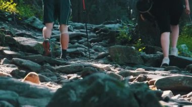 Sırt çantalı bir çift turist dağ ormanındaki taş patikaya tırmanıyor.