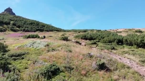 Vue Aérienne Panoramique De La Chaîne De Montagne Verte Et Des Collines Dans La Vallée Des Carpates — Video