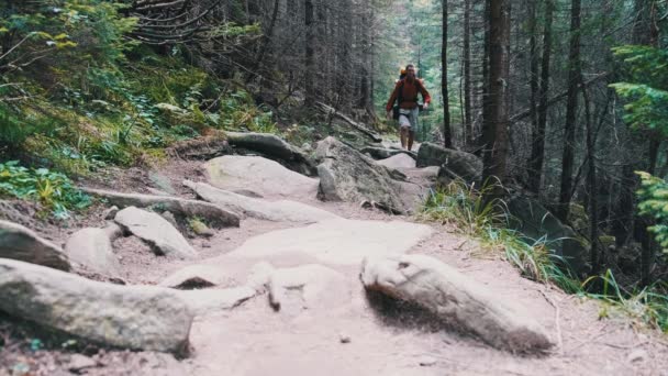 Turista com uma mochila desce ao longo da trilha de pedra na floresta de montanha. — Vídeo de Stock