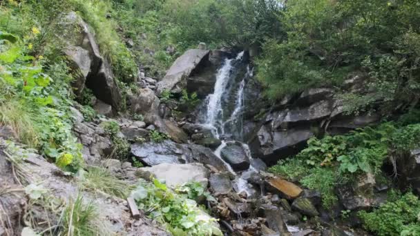 Водопад Дикой горы. Падение воды на камни. — стоковое видео