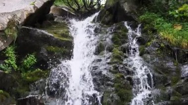 Wild Mountain Şelalesi. Hızlı Düşen Su Taşlara Vuruyor. Yavaş Hareket