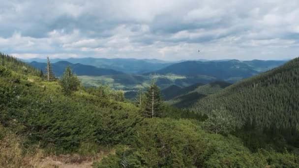 Paisaje Vista de Green Hills en el Valle de las Montañas con Bosques de Coníferas — Vídeos de Stock