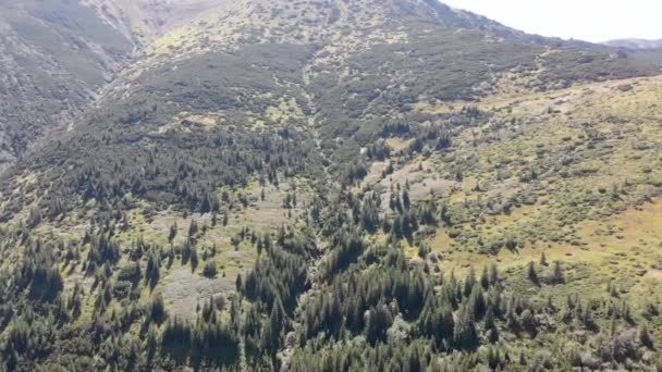 Luftaufnahme der grünen Gebirgskette und Hügel im Tal der Karpaten — Stockvideo