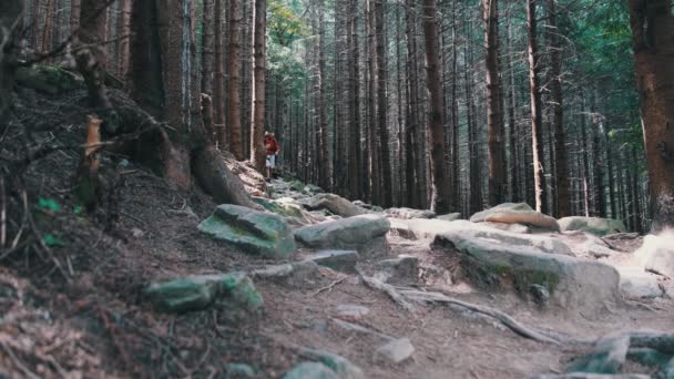 Turista com uma mochila desce a trilha da montanha de pedra na floresta. — Vídeo de Stock