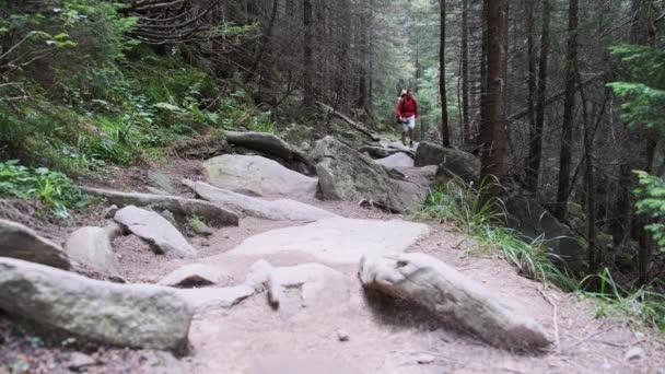 Un turist cu un rucsac coboară de-a lungul traseului de piatră din pădurea de munte . — Videoclip de stoc