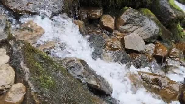 Río Wild Mountain fluye con rocas de piedra y rápidos de piedra. Moción lenta — Vídeo de stock