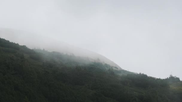 Nubes bajas y niebla se deslizan por la ladera de la montaña con fuertes vientos. Cárpatos — Vídeos de Stock