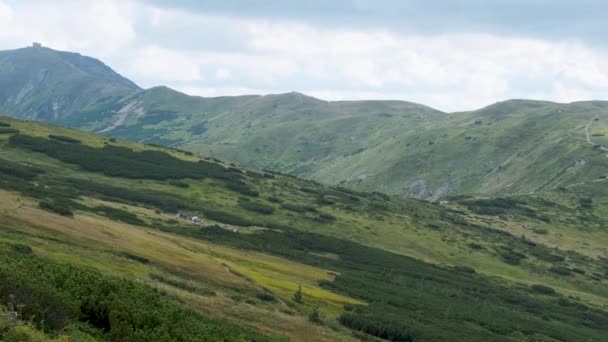 Vue Paysage des Collines Vertes dans la Vallée des Montagnes avec Forêts de Conifères — Video