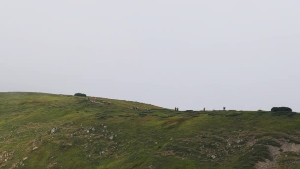 Groupe de touristes avec sacs à dos de randonnée Grimpe la chaîne de montagnes. Vue arrière — Video