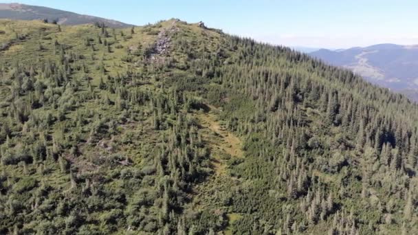 Flygfoto panoramautsikt över Green Mountain Range och Hills i Valley of Carpathian — Stockvideo