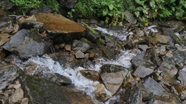 Río Wild Mountain fluye con rocas de piedra y rápidos de piedra. Moción lenta — Vídeos de Stock