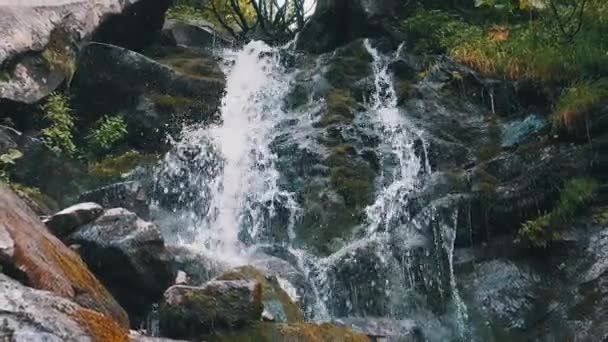 Divoký horský vodopád. Rychle padající voda dopadající na kameny. Pomalý pohyb — Stock video