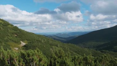 Gökyüzünde Kozalaklı Ormanlar ve Kümülüs Bulutları ile Dağ Sırasının Panoraması