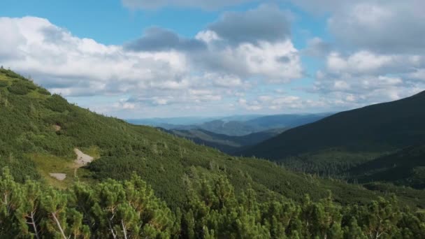 Bergpanorama mit Nadelwäldern und Kumuluswolken am Himmel — Stockvideo
