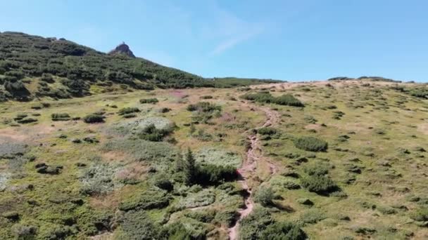 Flygfoto panoramautsikt över Green Mountain Range och Hills i Valley of Carpathian — Stockvideo