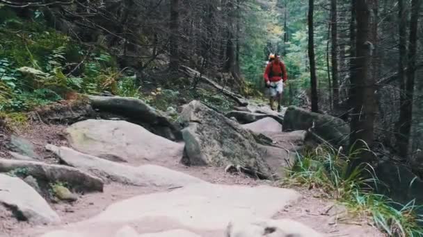 Toerist met een rugzak gaat naar beneden langs de stenen pad in Mountain Forest. — Stockvideo