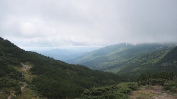 Nuages faibles et brouillard descendent la pente de la montagne par vents forts. Carpates — Video