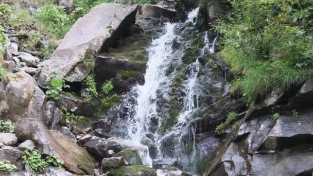 Wild Mountain Waterfall. Snabbt sjunkande vatten träffar stenarna. Slow Motion 240 — Stockvideo