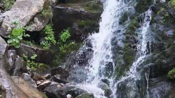 Wild Mountain Waterfall. Snabbt sjunkande vatten träffar stenarna. Långsamma rörelser — Stockvideo