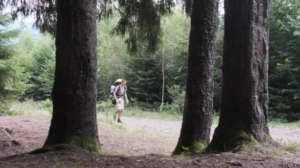 Turista com uma mochila andando ao longo da trilha da montanha na floresta. — Vídeo de Stock