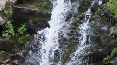 Wild Mountain Şelalesi. Hızlı Düşen Su Taşlara Vuruyor. Yavaş Hareket 240