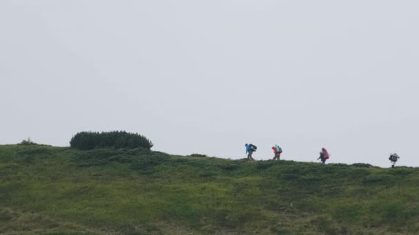 ハイキングバックパックを持つ観光客のグループは、山脈を登る。遠くの景色 — ストック動画