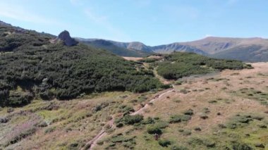 Karpatya Vadisi 'ndeki Yeşil Dağ ve Tepelerin Hava Panoramik Manzarası