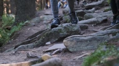 Dağ Ormanı 'ndaki Taş Patikası' na tırmanan Grup Turistlerinin Bacakları