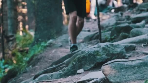 Blick auf Beine von Touristengruppen, die auf dem Steinweg im Bergwald klettern — Stockvideo