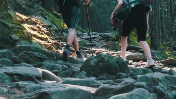 Paar toeristen met rugzakken klimmen op Stone Trail in Mountain Forest — Stockvideo