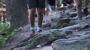 Dağ Ormanı 'ndaki Taş Patikası' na tırmanan Grup Turistlerinin Bacakları