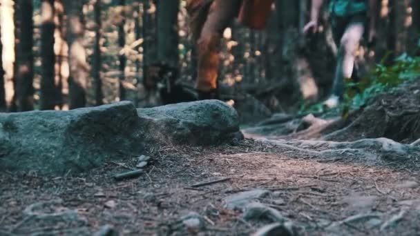 山の森の石の道を登る団体観光客の足の眺め — ストック動画