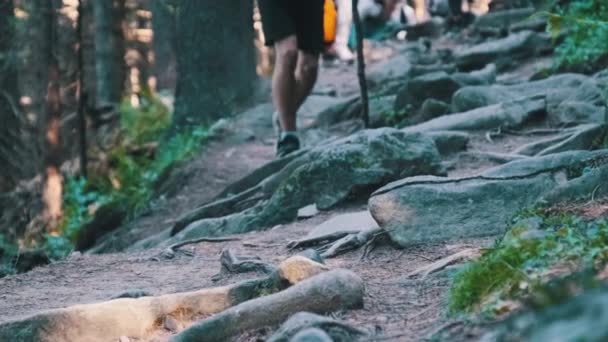 Blick auf Beine von Touristengruppen, die auf dem Steinweg im Bergwald klettern — Stockvideo