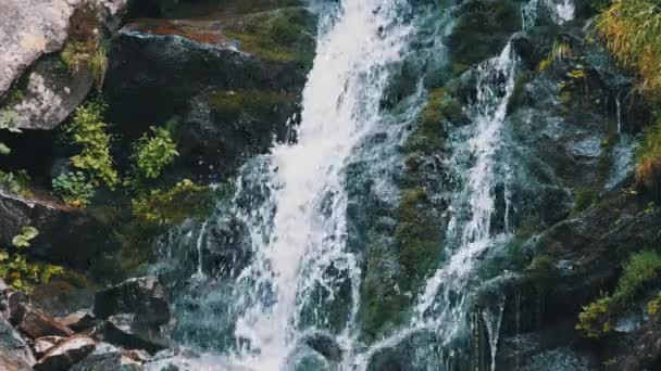 野生山地瀑布。快速落水砸在石头上。慢动作 — 图库视频影像