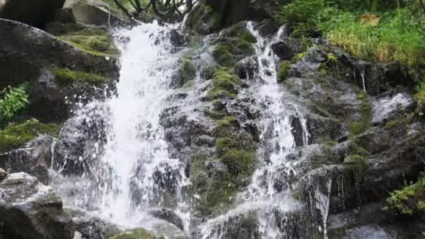 Wodospad Wild Mountain. Rapid Falling Water uderzające na kamienie. Zwolniony ruch 120 — Wideo stockowe
