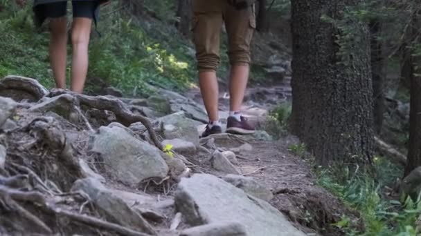 Casal de turistas com mochilas subindo na trilha de pedra na floresta de montanha — Vídeo de Stock