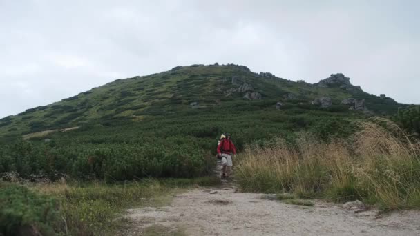 Toerist met een rugzak gaat naar beneden langs de stenen pad op Mountain Hill. — Stockvideo
