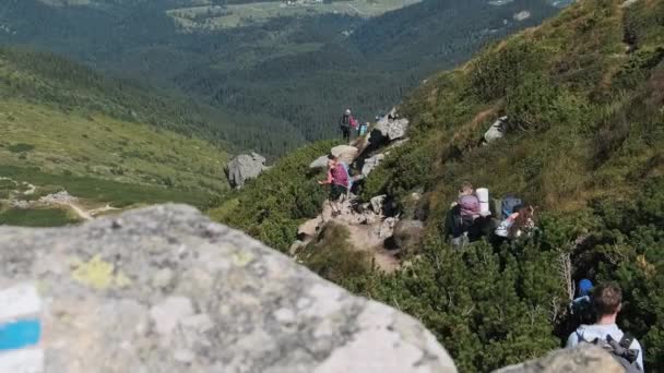 Ομάδα τουριστών και παιδιών με σακίδια κατεβαίνουν στο πέτρινο μονοπάτι στο βουνό — Αρχείο Βίντεο