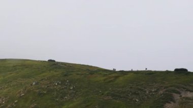 Yürüyüş sırt çantalı bir grup turist dağ sırasına tırmanıyor. Uzaktan Görünüm