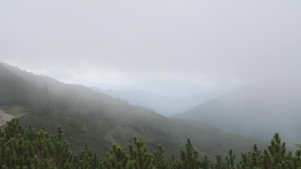 Nuvens baixas e nevoeiro deslizam pela encosta da montanha em ventos fortes. Cárpatos — Vídeo de Stock