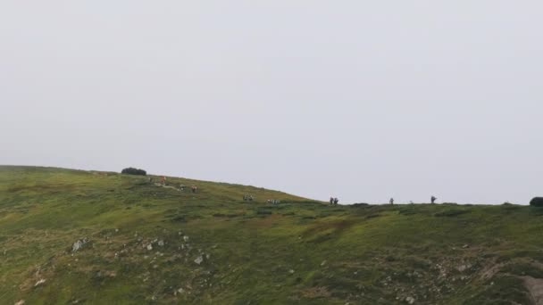 Groupe de touristes avec sacs à dos de randonnée Grimpe la chaîne de montagnes. Vue arrière — Video