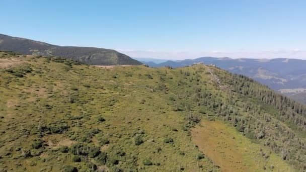 Luftaufnahme der grünen Gebirgskette und Hügel im Tal der Karpaten — Stockvideo