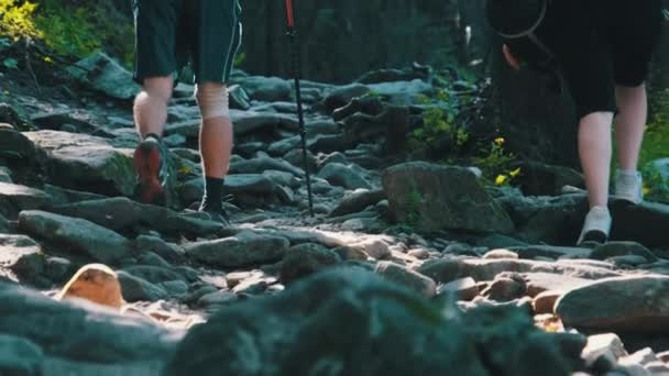 Casal de turistas com mochilas subindo na trilha de pedra na floresta de montanha — Vídeo de Stock