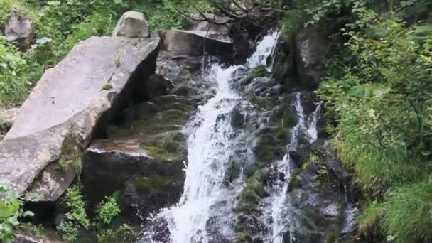 Wodospad Wild Mountain. Rapid Falling Water uderzające na kamienie. Wolny ruch 240 — Wideo stockowe