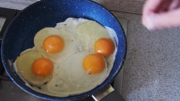 Home Ontbijt. Gefrituurde eieren worden gekookt in een pan in de Home Kitchen — Stockvideo