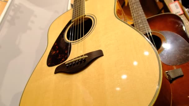 Loja de Guitarra. Muitas novas guitarras acústicas multicoloridas são penduradas na Music Store — Vídeo de Stock