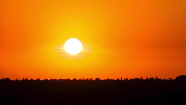 Pôr do sol no céu amarelo. Timelapse. Grande sol amarelo brilhante se move para baixo. — Vídeo de Stock